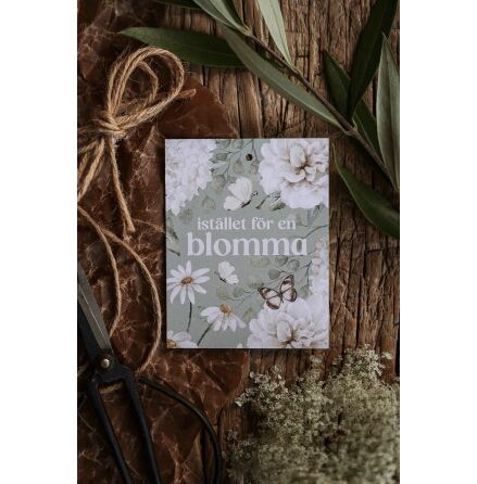 Majas G�vokort Ist�llet f�r en blomma