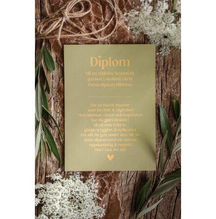 Majas Vykort Diplom till en fantastisk person i skolans v�rld