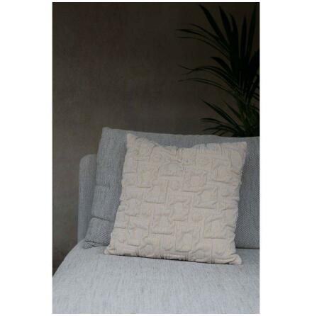 Collin Kuddfodral Lin