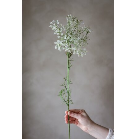 Konstv�xt Allium Vit