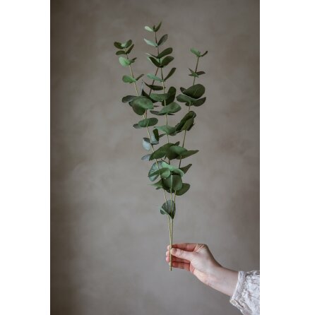 Konstv�xt Eucalyptus Gr�n