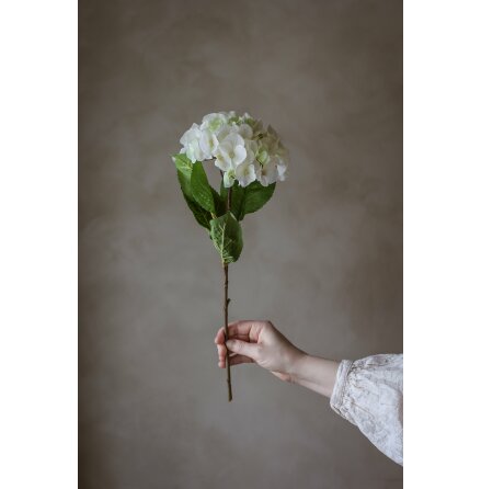Konstv�xt Hortensia Vit