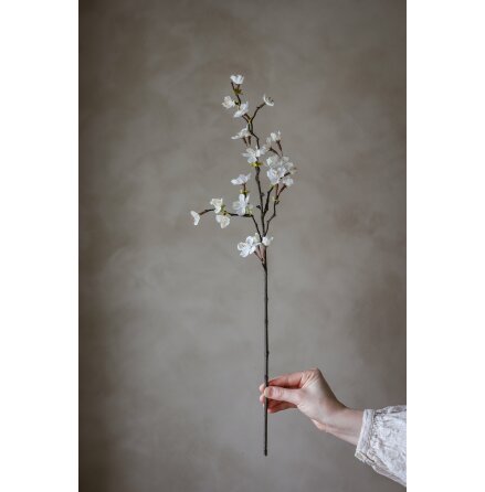 Konstv�xt K�rsb�rsblom Vit Liten